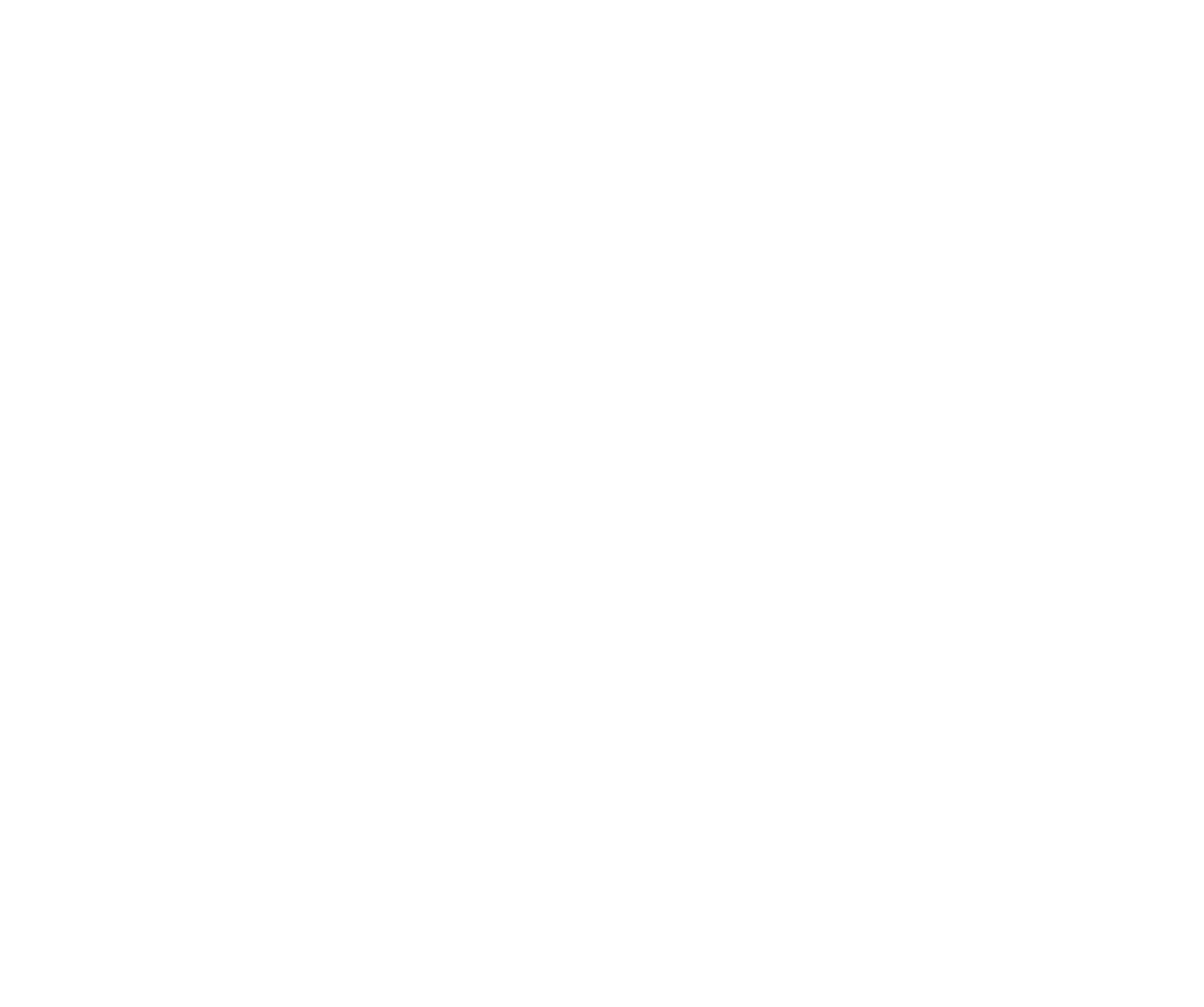 Logo-blanc-s&j-cabyne